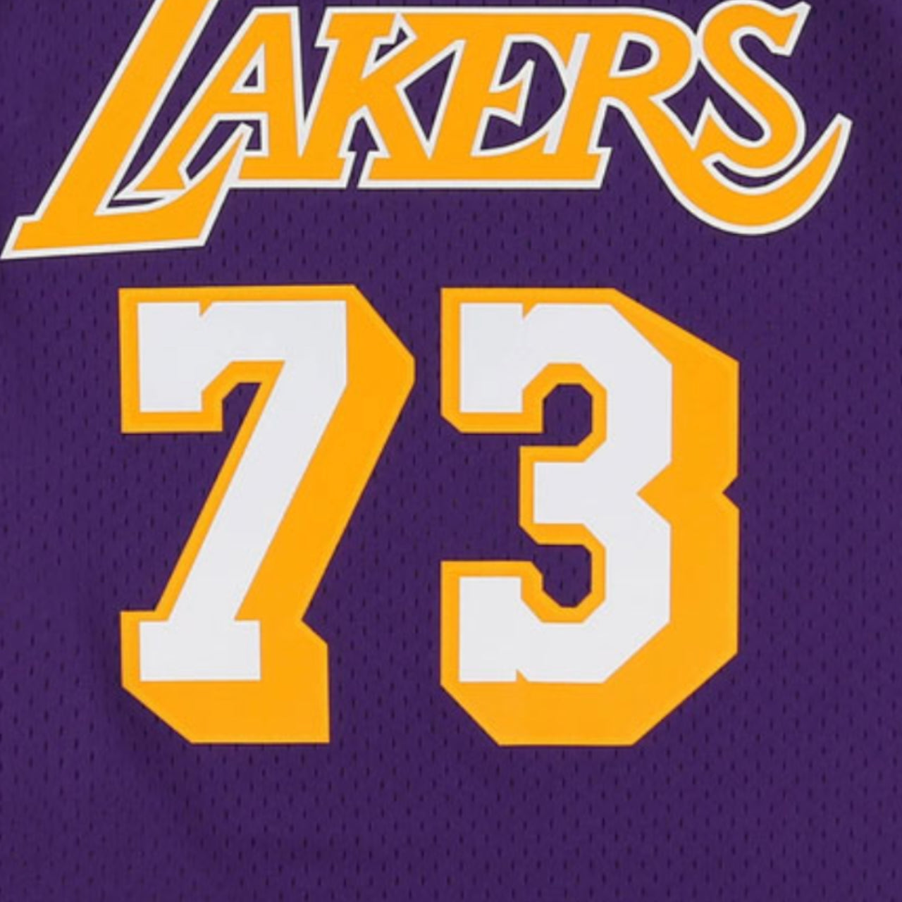 Dennis Rodman Los Angeles Lakers 1998-1999 Hardwood Classic Away Mitchell & Ness Swingman Jersey - Purple