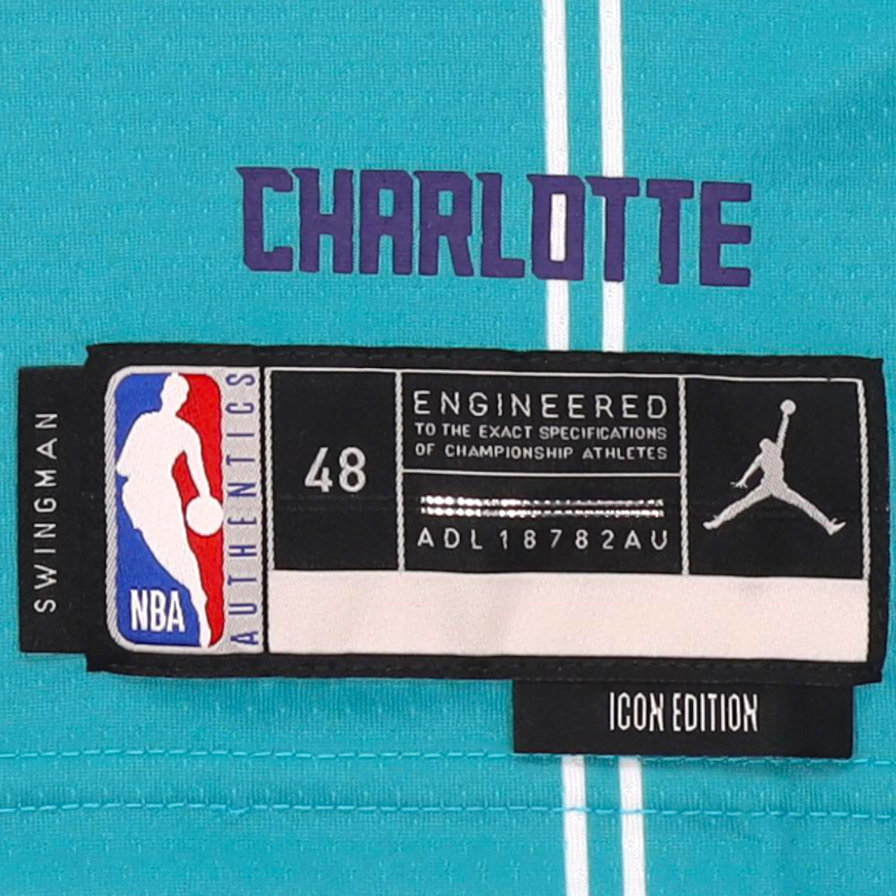 LaMelo Ball Charlotte Hornets 2020-2021 Icon Edition Nike Swingman Jersey #2 - Teal