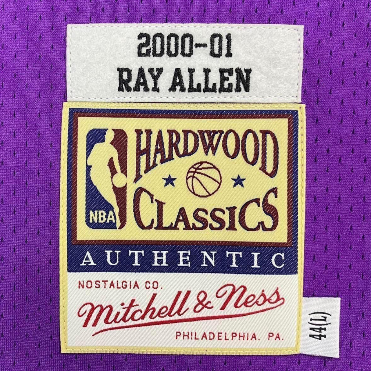 Ray Allen Milwaukee Bucks 2000-2001 Hardwood Classic Alternate Mitchell & Ness Authentic Jersey - Purple