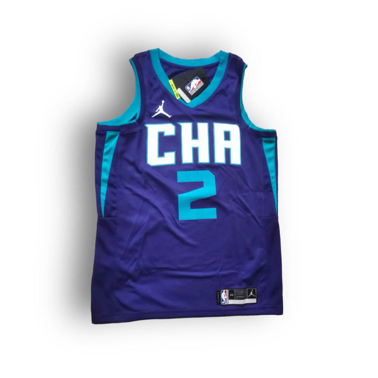 LaMelo Ball Charlotte Hornets 2021-2022 Statement Edition Nike Swingman Jersey #2 - Purple