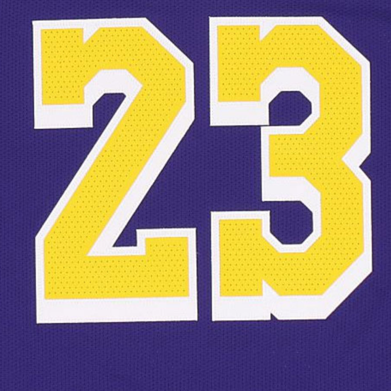 LeBron James Los Angeles Lakers 2020 Statement Edition Nike Authentic Jersey - Purple #23 - Hoop Jersey Store