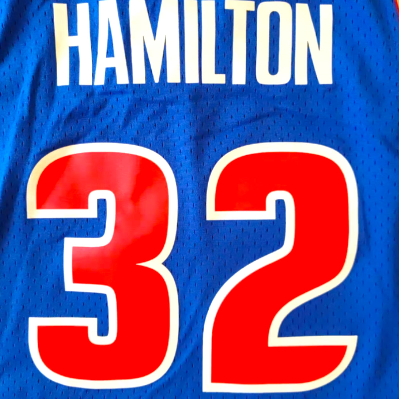 Richard hamilton pistons jersey on sale