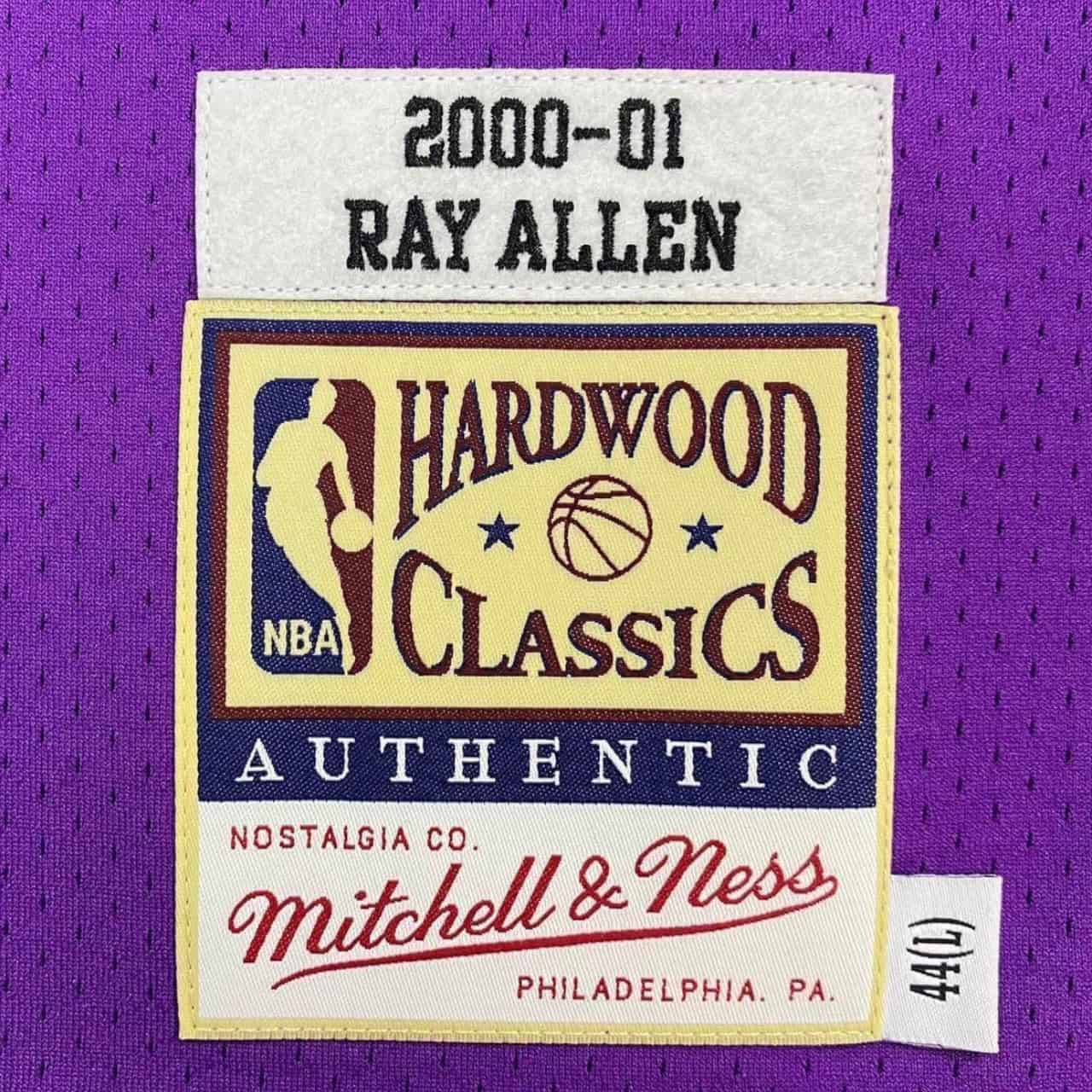 Ray Allen Milwaukee Bucks 2000-2001 Hardwood Classic Alternate