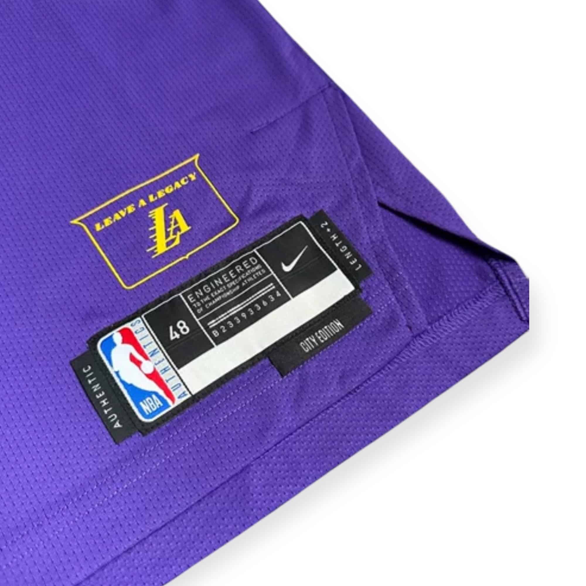 lebron james purple and black jersey